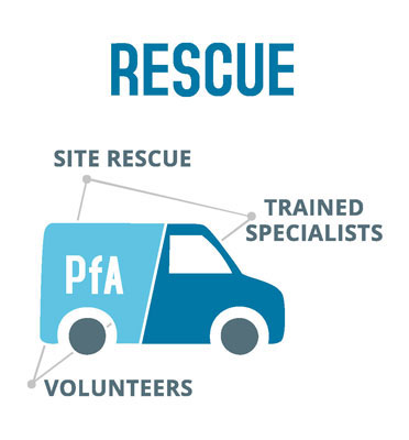 rescue