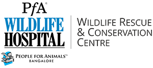 PFA Bangalore